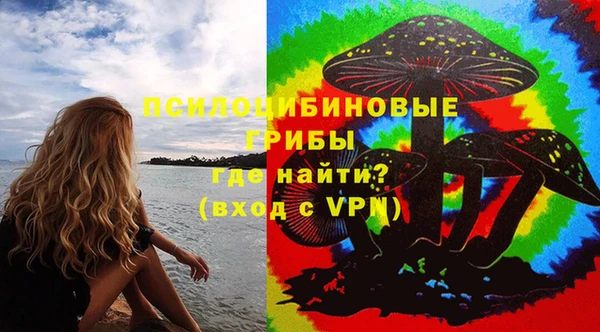 твердый Алзамай