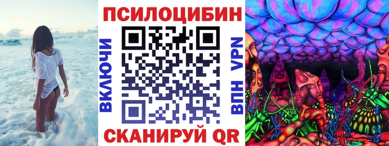 Галлюциногенные грибы GOLDEN TEACHER  Купить где  Тверь 